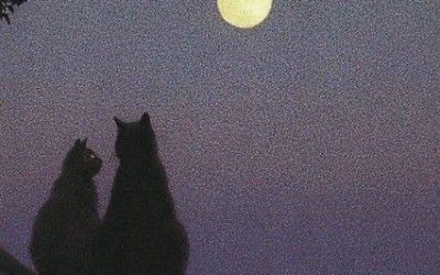 Meest mooiste romantiek